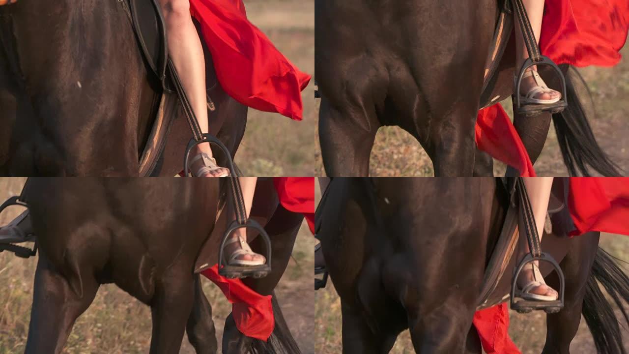 穿着红色长裙的年轻女孩在乡下骑着黑马。