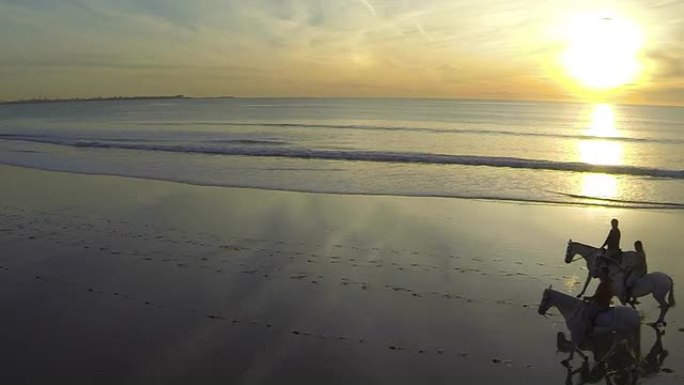 西班牙安达卢西亚海滩上的日落马