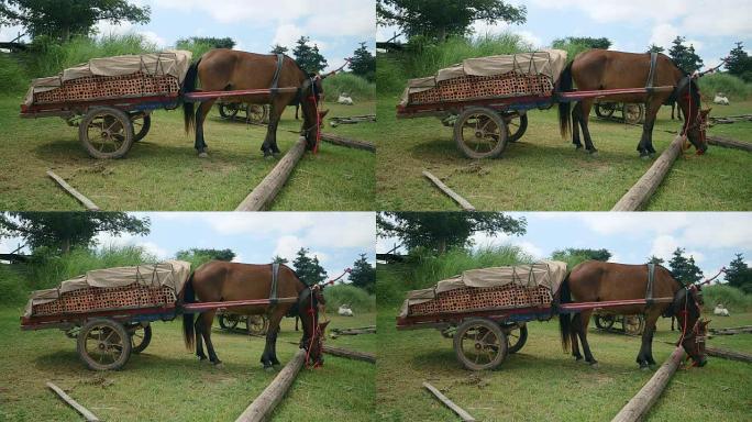 装满砖头的固定马车; 在田野里放牧的马
