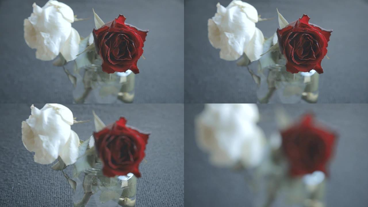 模糊运动中的两朵玫瑰