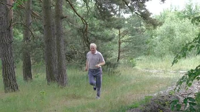 老人在针叶林自然户外慢跑。慢动作