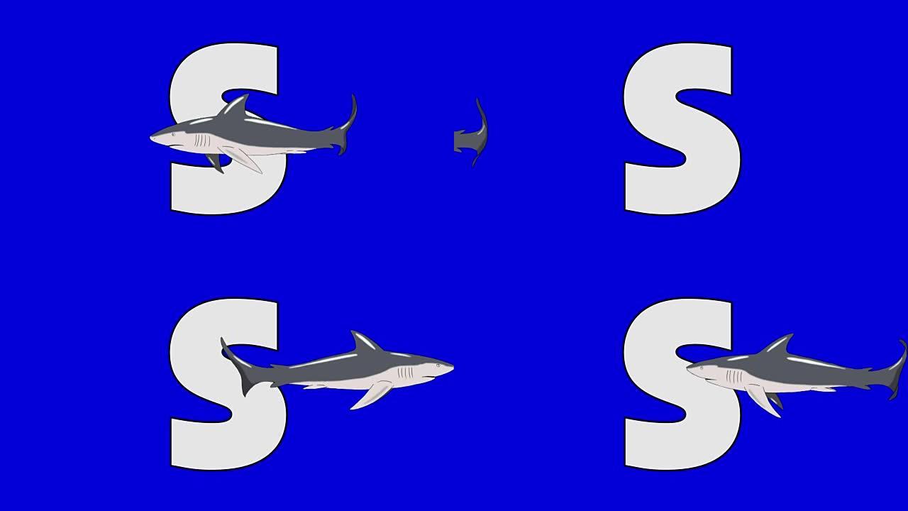 字母S和鲨鱼 (前景)