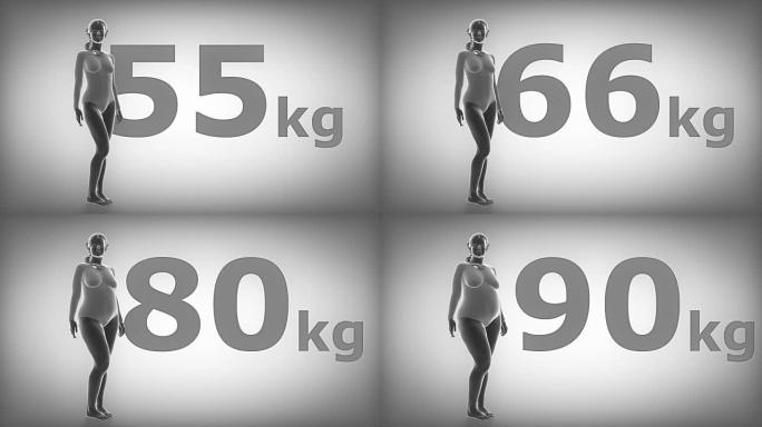 女性肥胖概念-体重从苗条到肥胖
