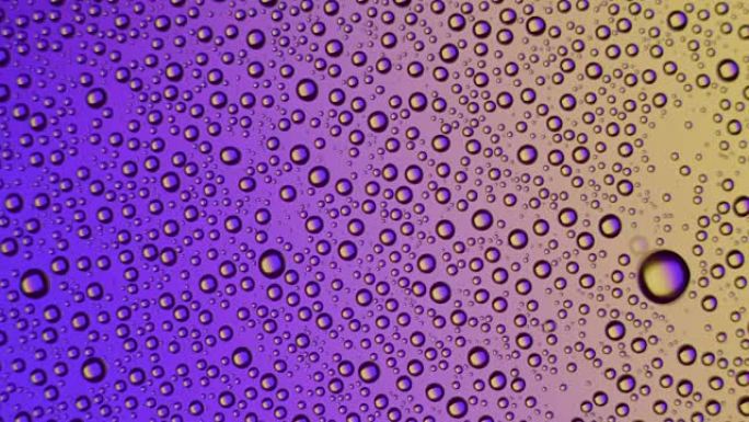 紫色和黄色玻璃表面的水滴