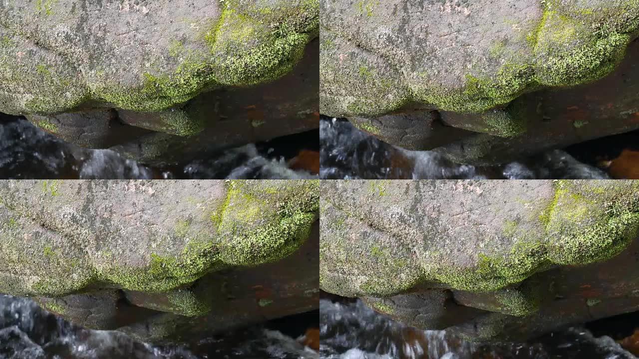 水中的石头