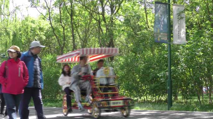 公园游玩踏青的人群游园一家人游玩北京旅游