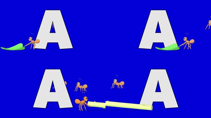 字母A和Ant (前景)