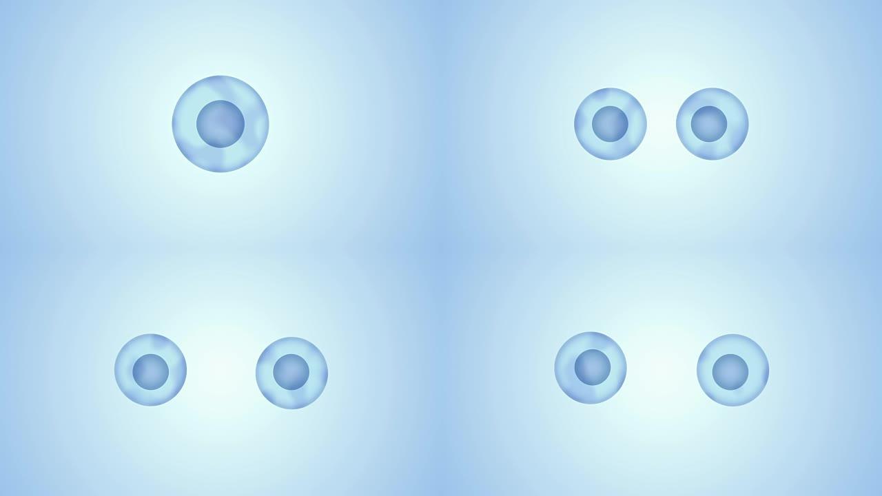 二进制裂变透明细胞分裂蓝色3D运动图形视频