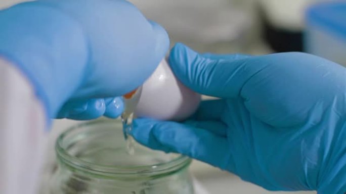 科学家在食品实验室中进行测试鸡蛋