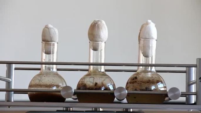 石油降解细菌在倾斜的实验室摇床上的烧瓶中生长