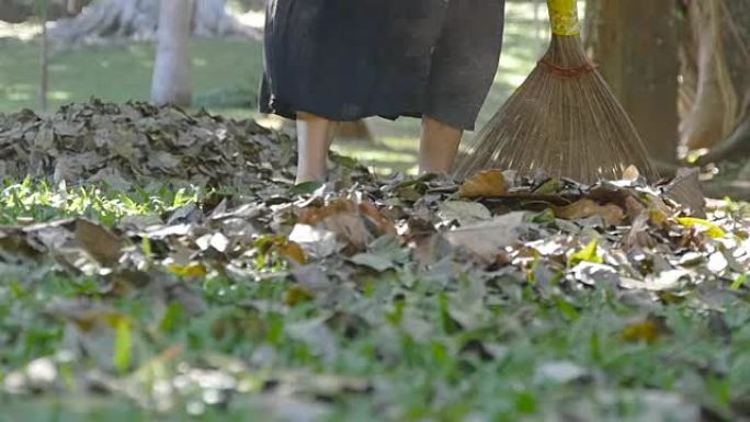 公园里的印度女看门人白天扫树叶耙。公园里的清洁印度看门人白天清扫树叶耙。从秋天的叶子清洁区域。秋季叶