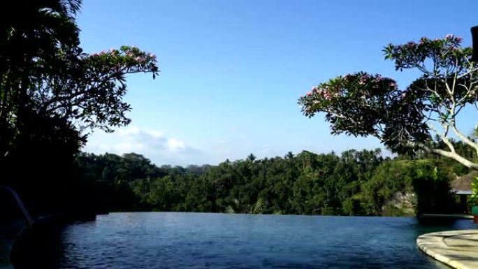 热带森林上的豪华游泳池。