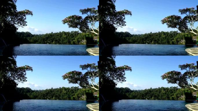 热带森林上的豪华游泳池。