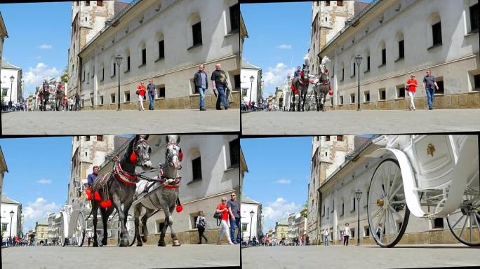 欧洲马拉马车传统浪漫旅游骑行旅游