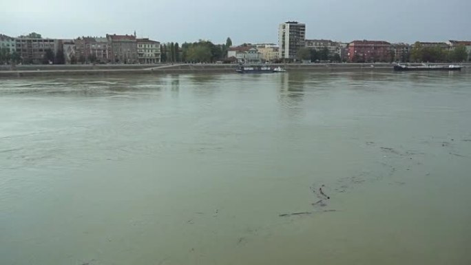 多瑙河，诺维萨德