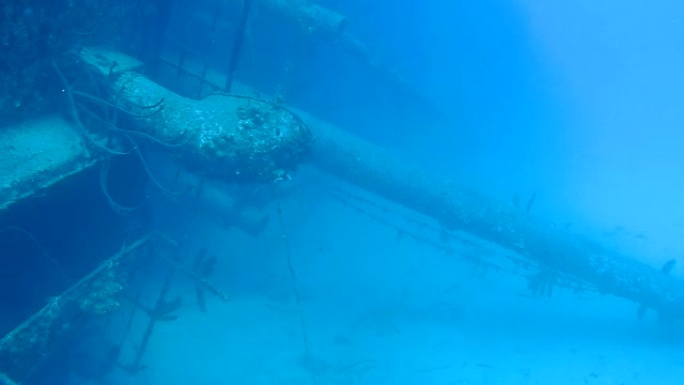 沉船希尔玛胡克博内尔岛加勒比海水下1080P视频