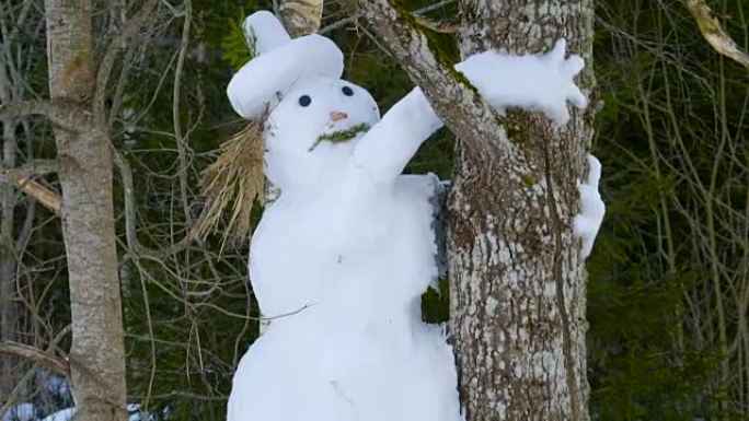 抱树的白色大雪人