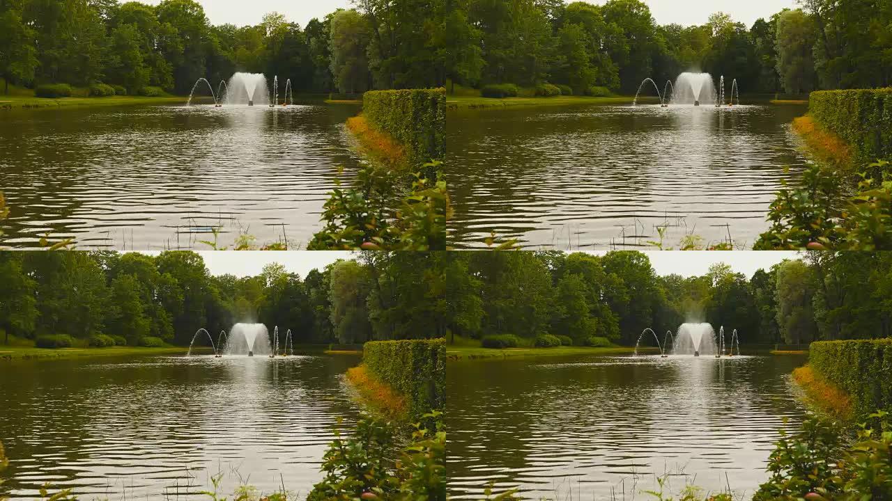 树木之间有喷泉的池塘