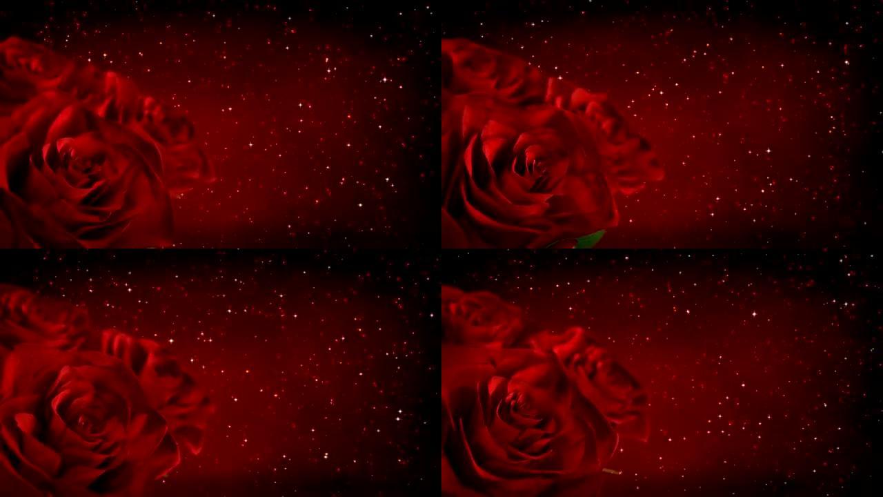旋转带有闪光颗粒的红玫瑰 -- 无缝循环