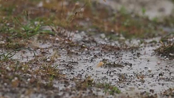 大冰雹暴雨