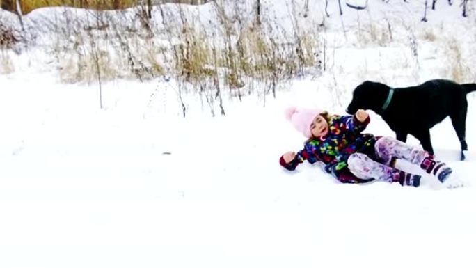 小女孩在雪地上玩她的黑色拉布拉多犬，慢动作