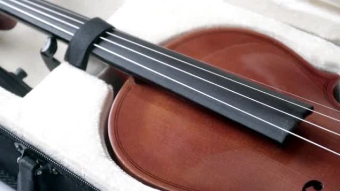 带有颈桥和弓 (全套) 的黑色表壳中的小提琴
