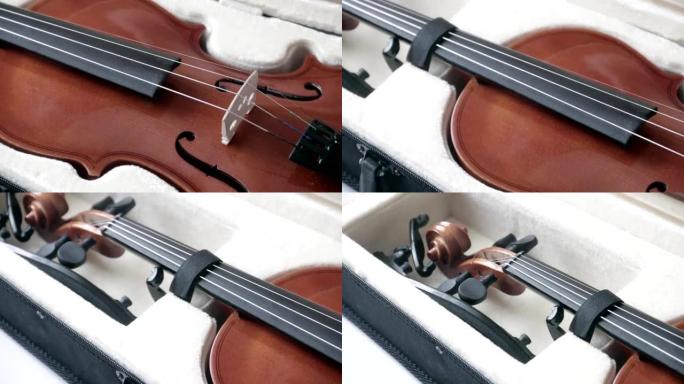 带有颈桥和弓 (全套) 的黑色表壳中的小提琴