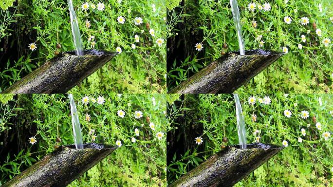 日本花园中的竹筒和流水