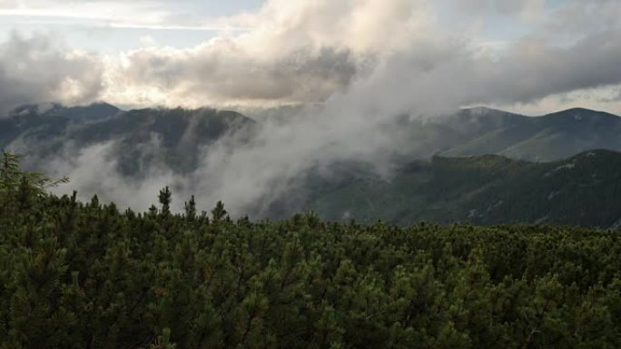 云杉在山顶上有圆锥体，背景是快速运行的云。平稳运动