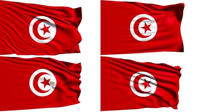 突尼斯国旗 (环路)