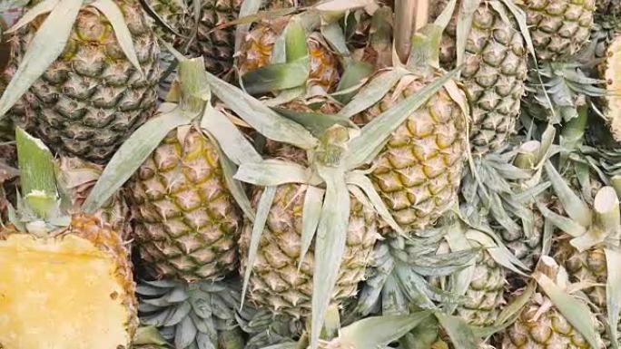 菠萝在市场上交易