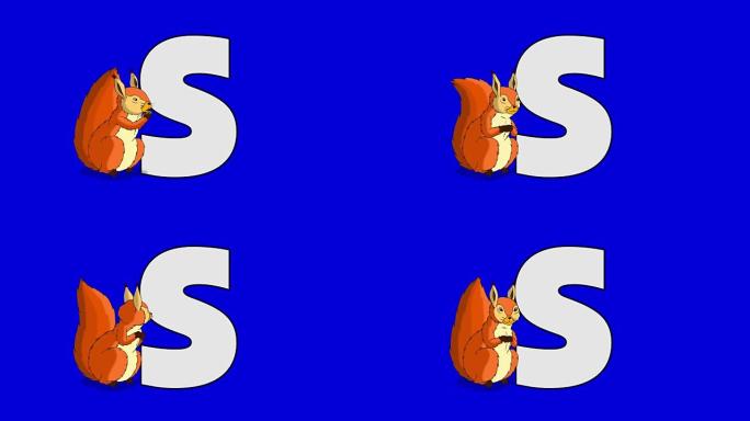 字母S和松鼠 (前景)