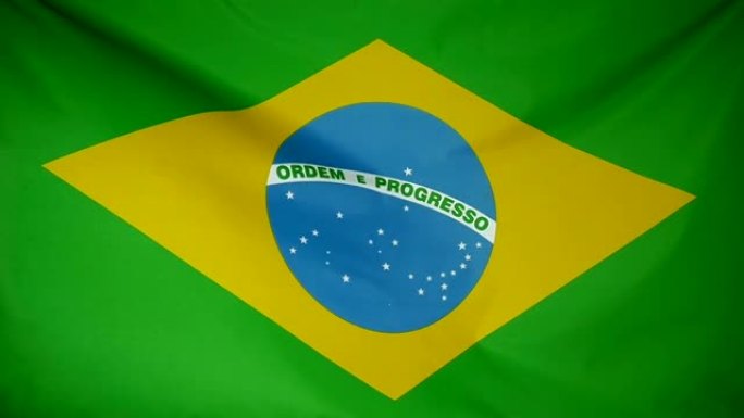 巴西慢动作真纺织品旗