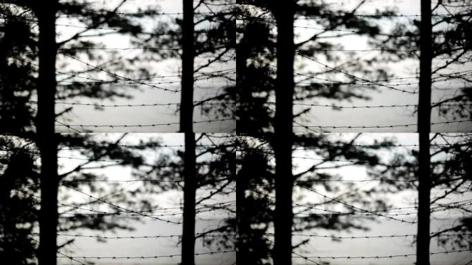 铁丝网。背景上树木的轮廓。夏夜。监狱