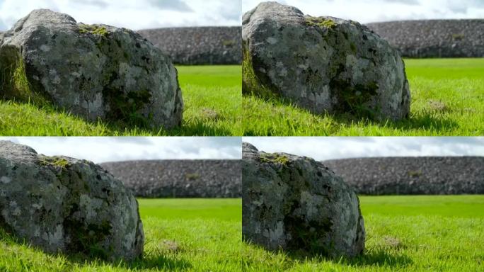 爱尔兰草地上的大石头的近距离观察