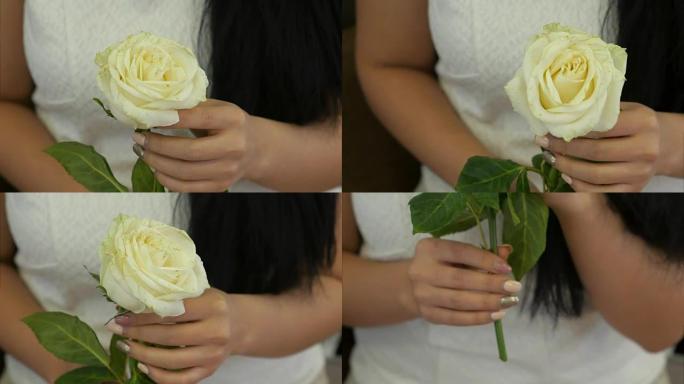 女人的手摸着白玫瑰