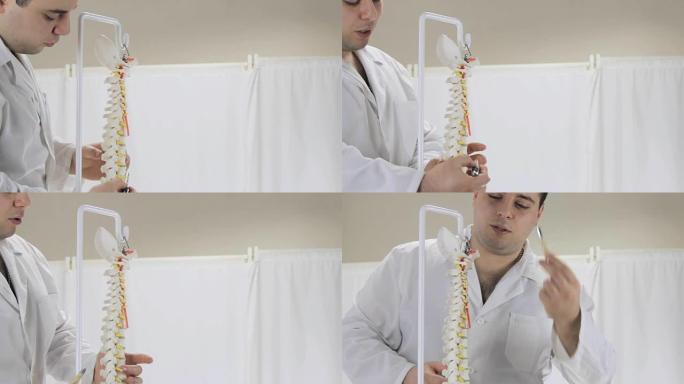 医生说人类脊柱的结构