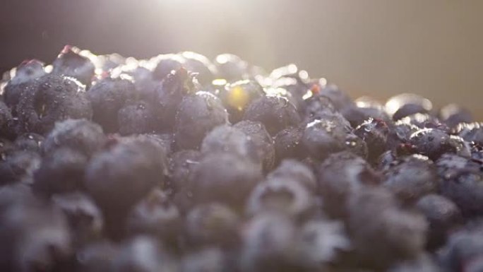 早午餐时新鲜蓝莓的特写镜头。