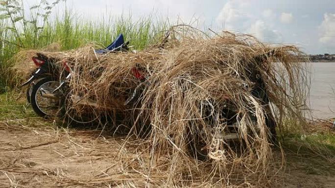 摩托车上的稻草堆用于防晒和防热