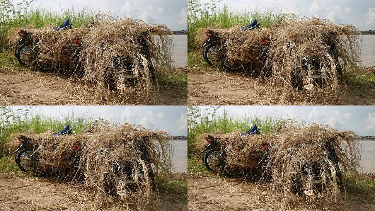 摩托车上的稻草堆用于防晒和防热