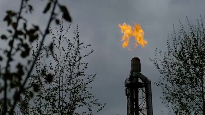 在树木间的炼油厂燃烧火炬