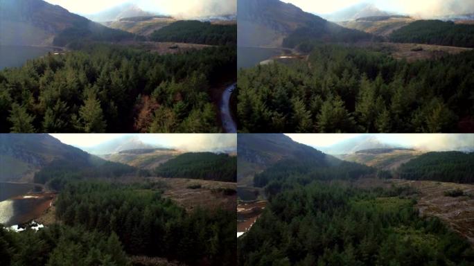 山上常绿森林的无人机镜头