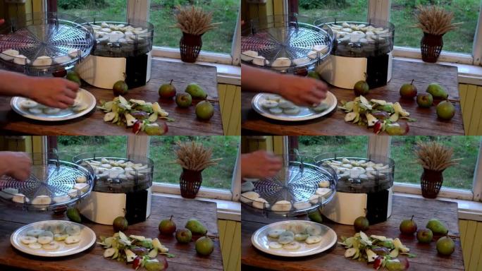 女性的手把切成薄片的梨放在水果烘干机的盘子里。特写。全高清