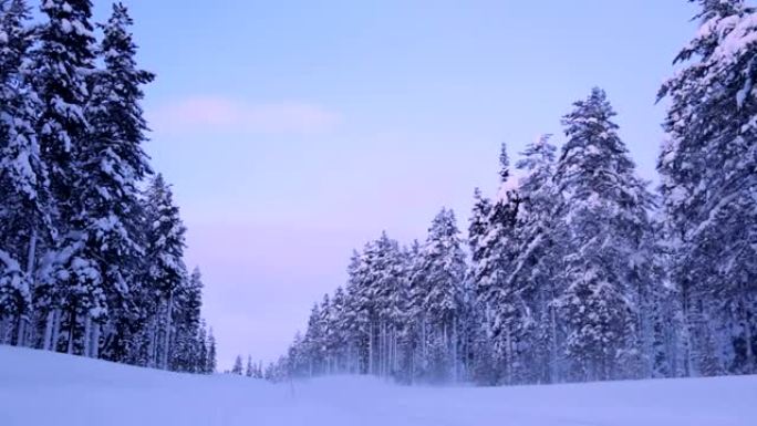 冬季森林道路上的孤独汽车