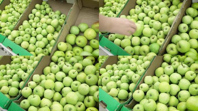 超市里的女孩选择青苹果。女手在超市挑选和购买青苹果。盒子里的一大堆青苹果