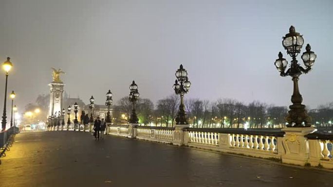 亚历山大三世桥的精彩夜景