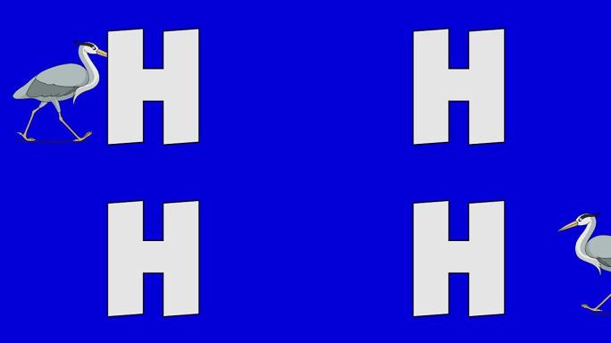 字母H和苍鹭 (背景)