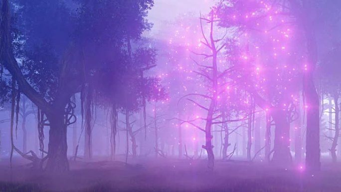 晚上神奇的迷雾森林中的萤火虫灯