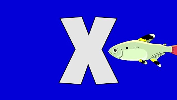 字母X和x光片 (背景)