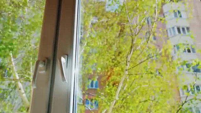 从房子或公寓的窗户看。前景中有一个塑料窗户，后面是一棵绿树，叶子刚吹过。春天，阳光明媚